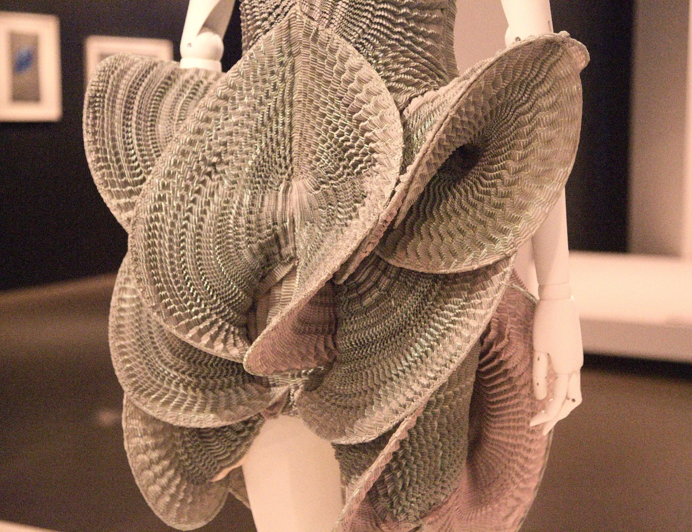 Iris van Herpen utilizes 3D printing to create novel textiles for her avant-garde fashion