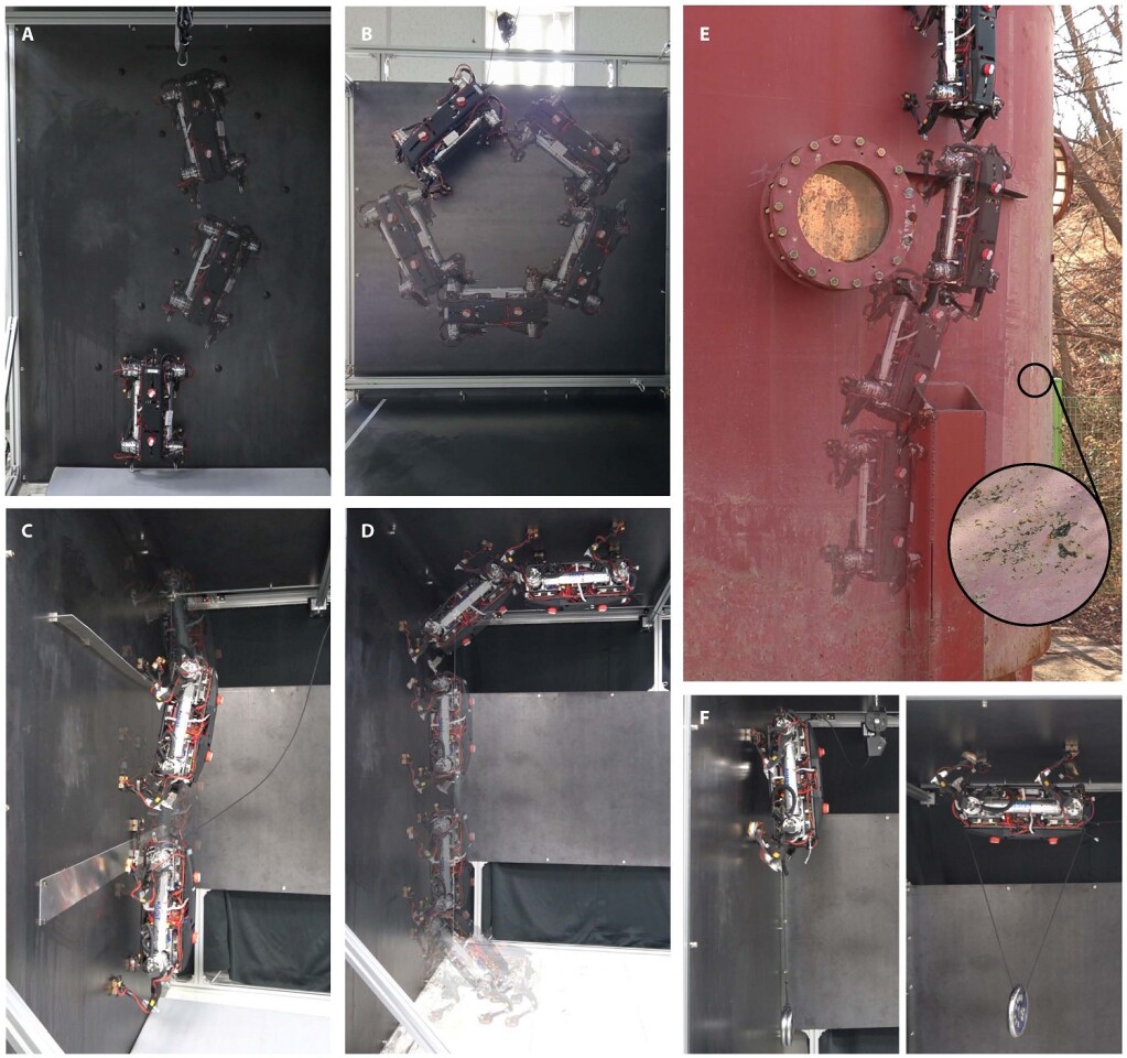 MARVEL walks up a vertical wall (A), walks across a ceiling (B), steps over obstacles on a vertical wall (C) makes floor-to-wall and wall-to-ceiling transitions (D), moves up a storage tank (E) and walks both on a wall and across a ceiling with a 2-kg (4.4-lb) weight attached