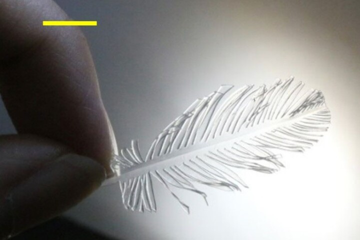 A glass feather created using the new technique