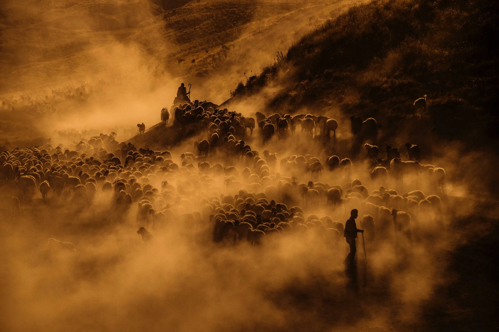 Finalist in The Traveler category of the 2018 EyeEm Awards: Mount Nemrut in Eastern Turkey