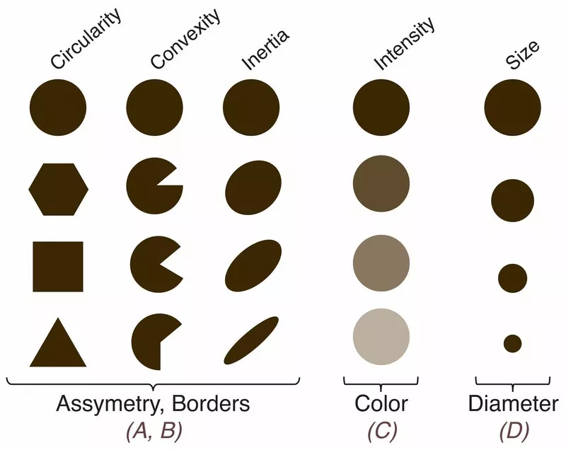 Just like dermatologists do, a new deep learning algorithm is designed to spot odd features of potentially dangerous skin lesions