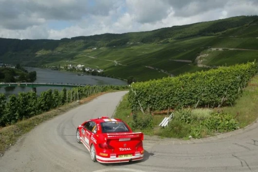 Markko Martin's Peugeot finished fourth in what was "quite a straightforward rally"