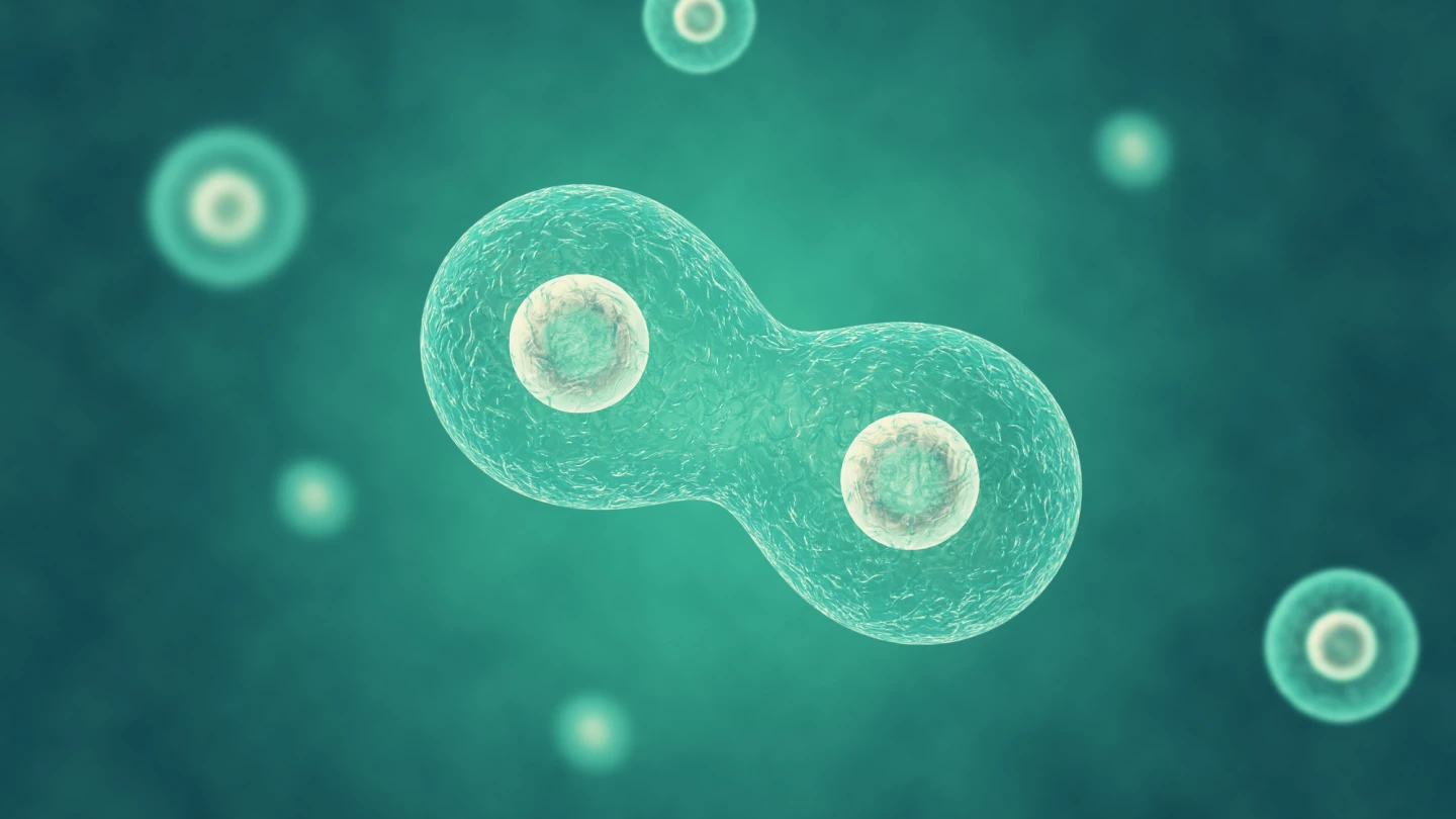 Researchers have created a synthetic single-celled organism (not pictured) that can divide properly