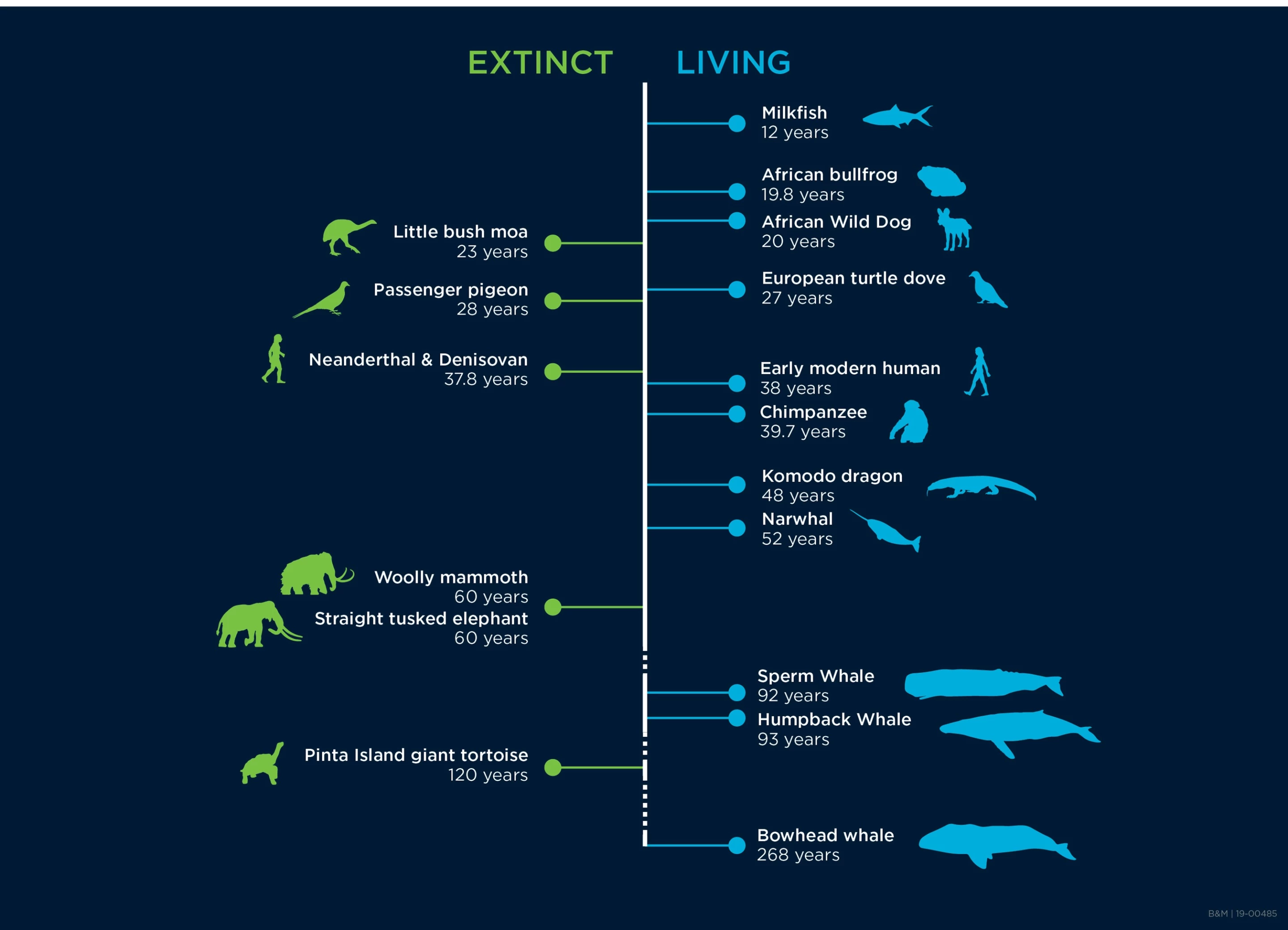 A sampling of some of the species that were studied