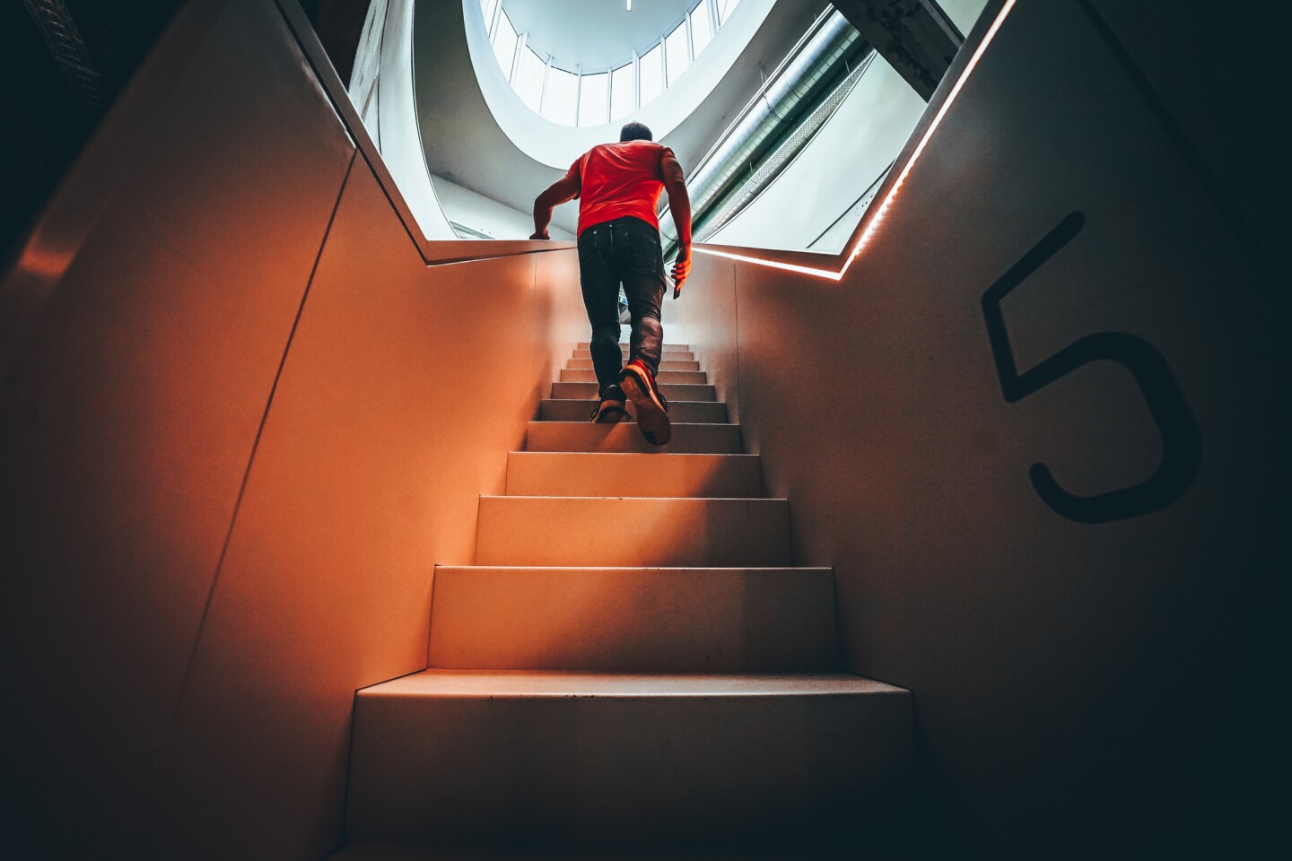 A new study suggests that even a moderate uptake of physical activity, such as taking the stairs instead of the elevator, can counter volume loss in key brain regions
