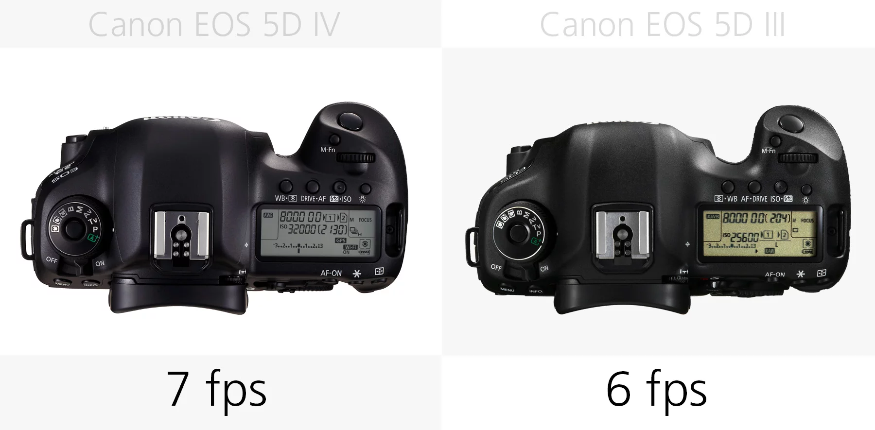Continuous shooting speed (Canon EOS 5D Mark IV and 5D Mark III)