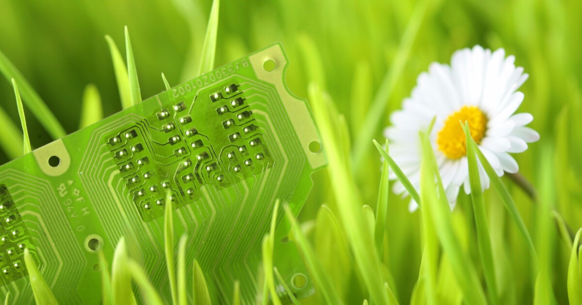 Plant spies DARPA’s plan to create organic surveillance sensors