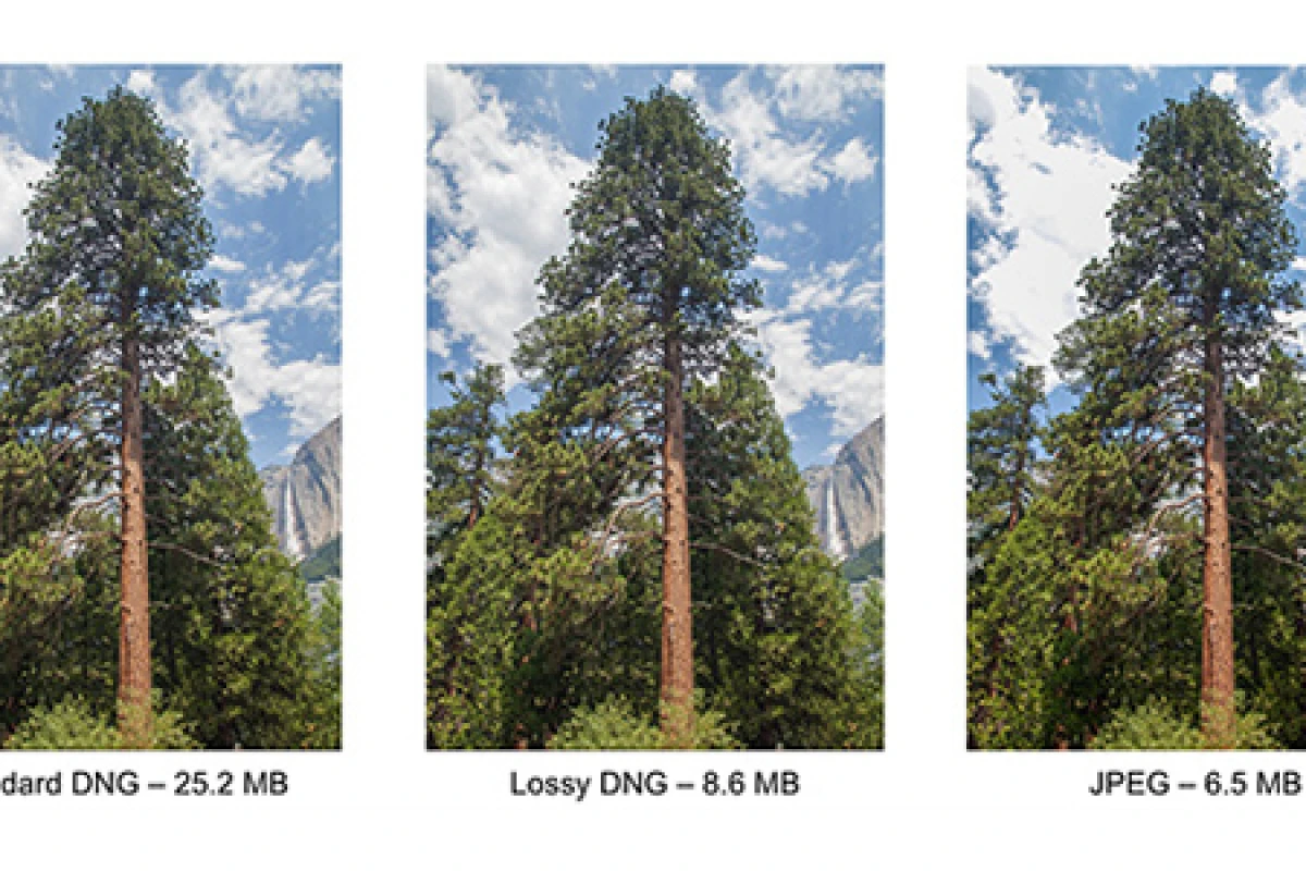 Adobe has introduced lossy compression to the DNG specification because of the gulf between the size of RAW and JPEG files
