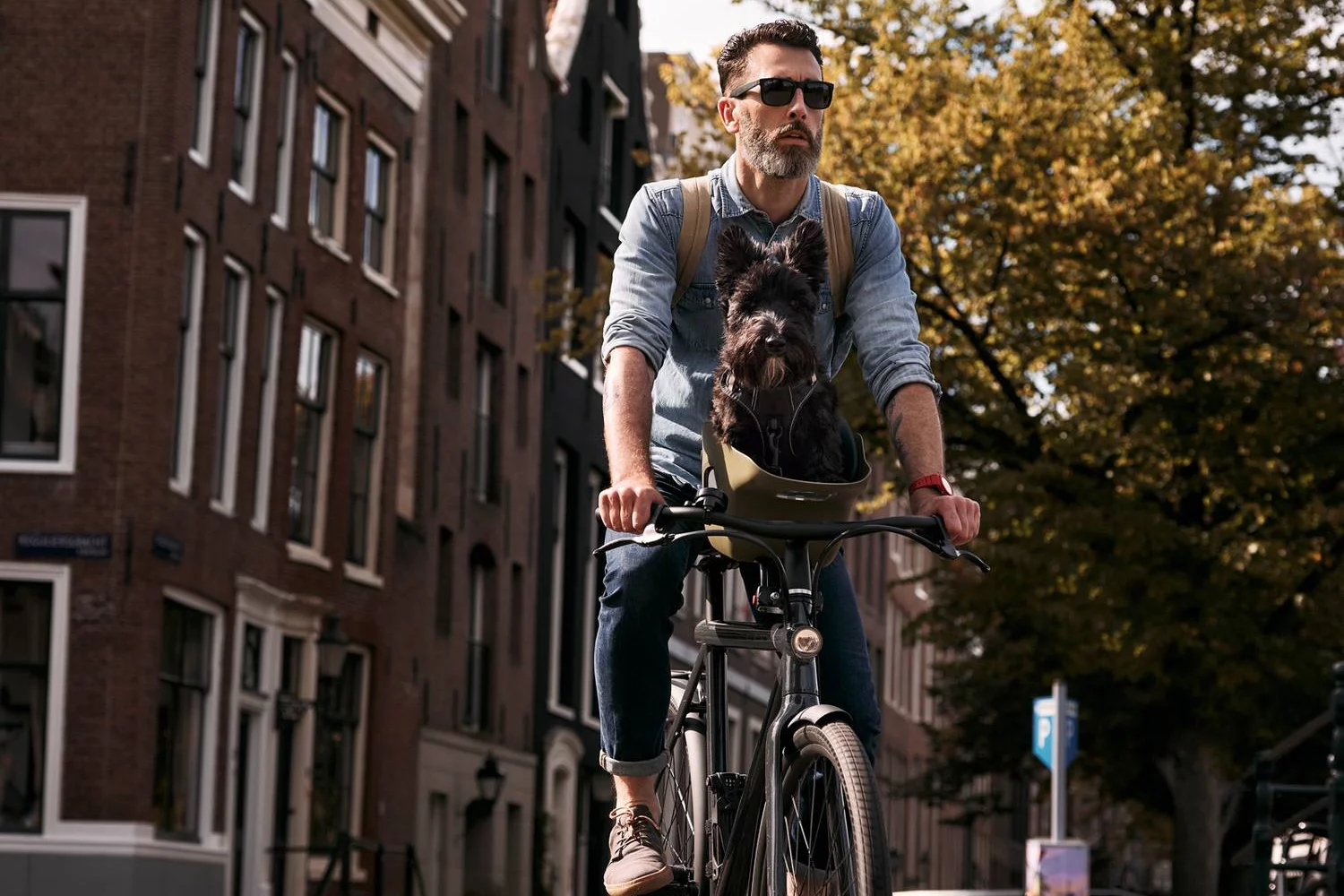 Although the Kvisp is rated for dogs weighing up to 13.5 kg (30 lb), compatibility also depends on the size of the individual dog