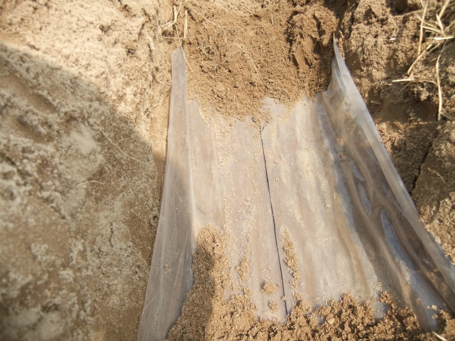 The new water-saving membranes developed at MSU (Photo: MSU)