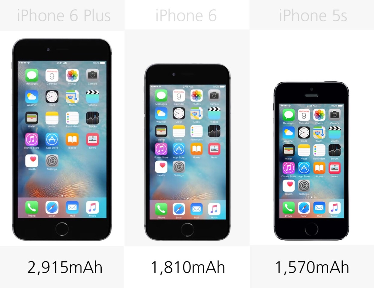 Iphone 6s Plus Vs 6s 6 Plus 6 And 5s Iphone 6s Plus Vs 6s 6 Plus 6 And 5s