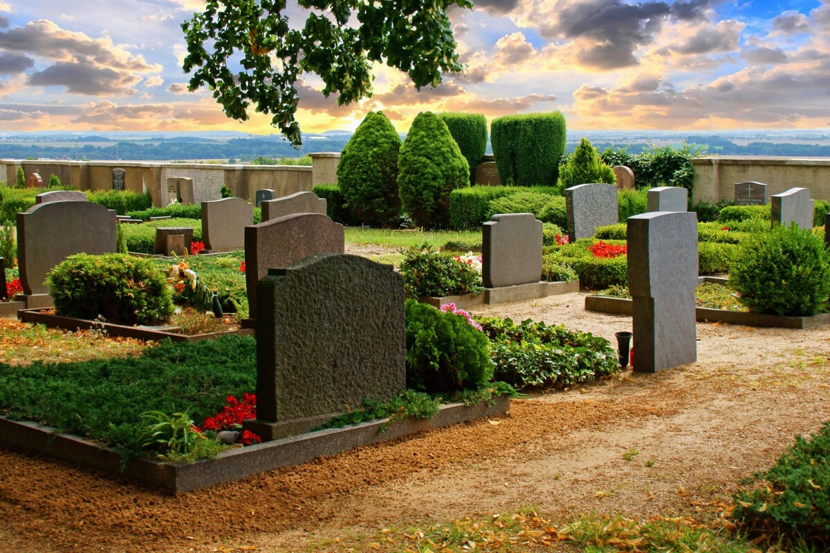 To test a theory about why we haven't evolved to be immortal, researchers have identified certain genes that affect lifespan and switched them off, helping worms live longer