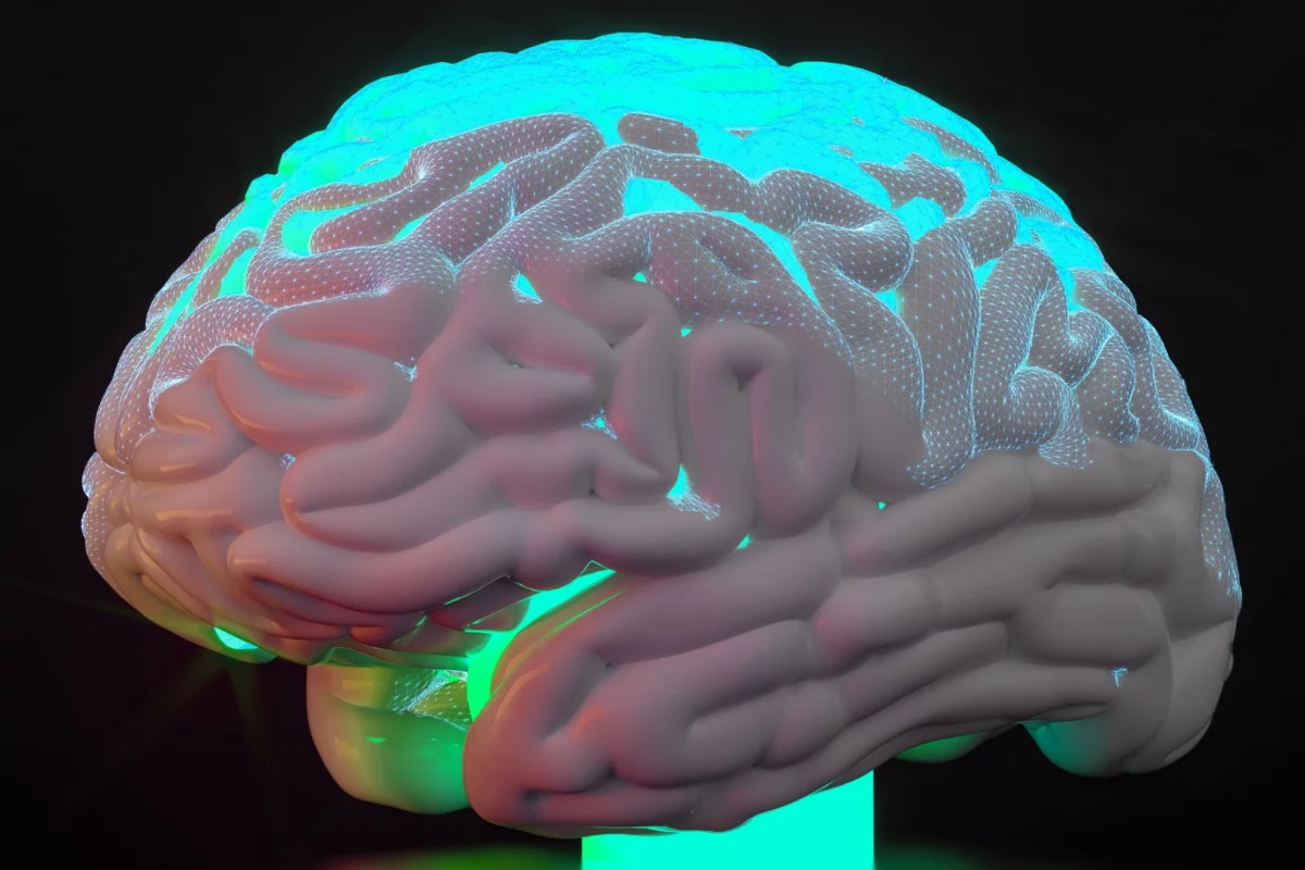 A newly defined neurodegenerative disease called LATE is characterized by entirely different protein aggregations in the brain than seen in Alzheimer's