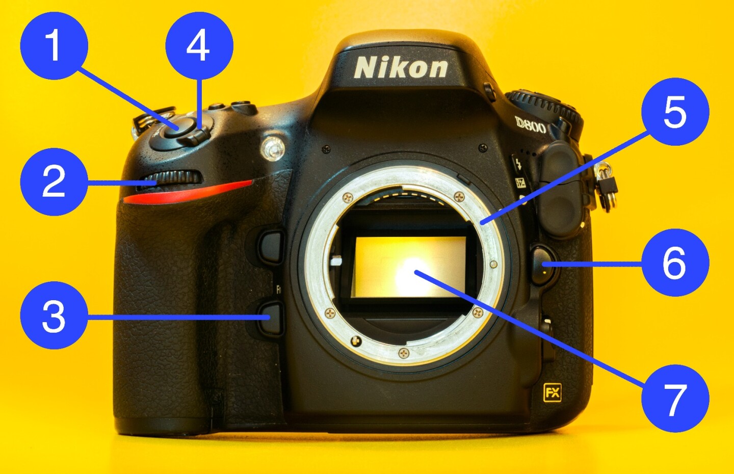 What does what on the front of a DSLR camera