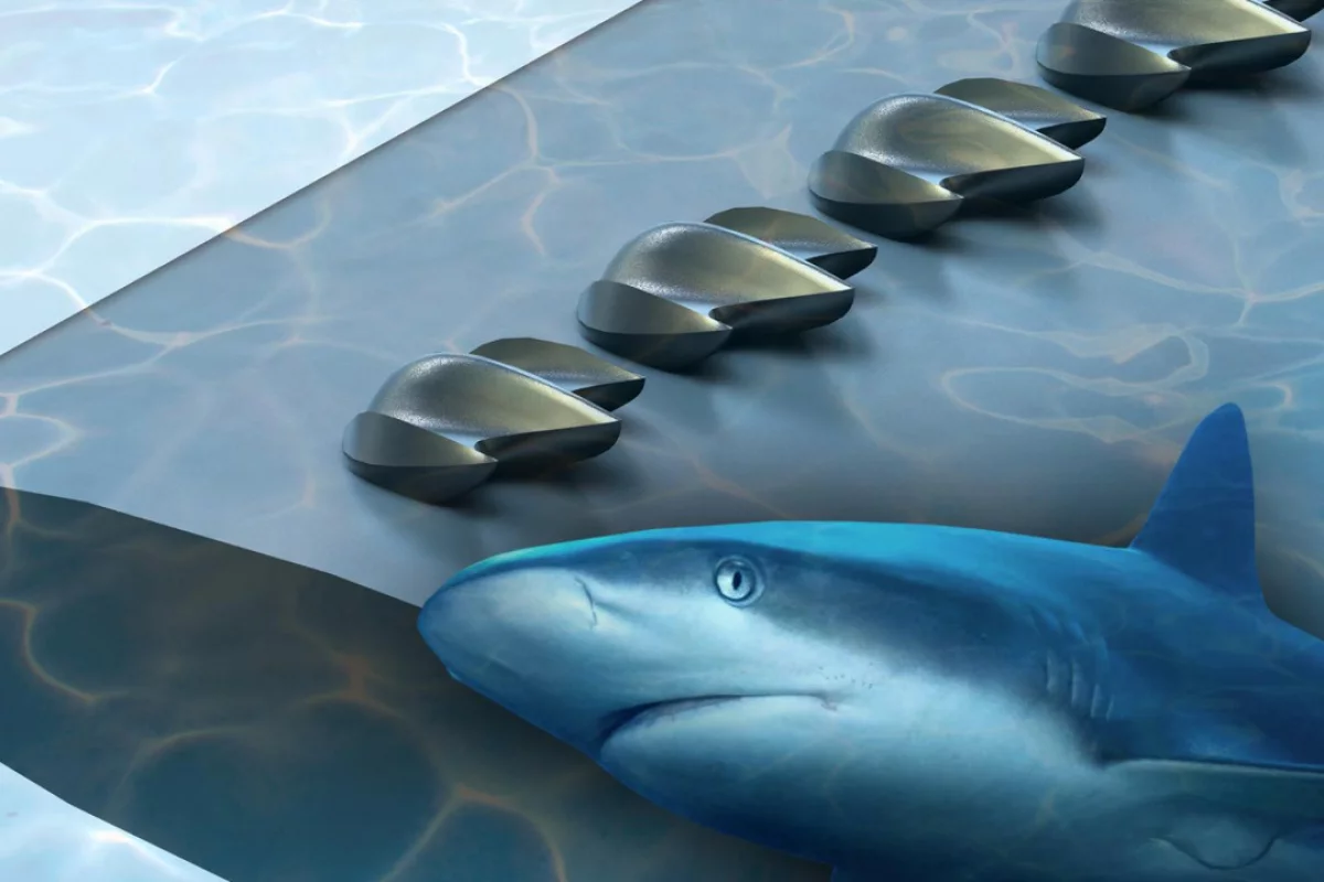 In a new study, researchers turned to shark scales in an attempt to improve the aerodynamic performance of planes, drones and wind turbines