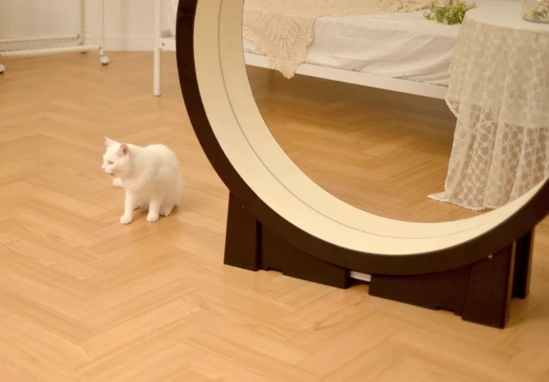 We're not entirely sure cats will really use the Little Cat treadmill, but maybe the LED will help coax them in