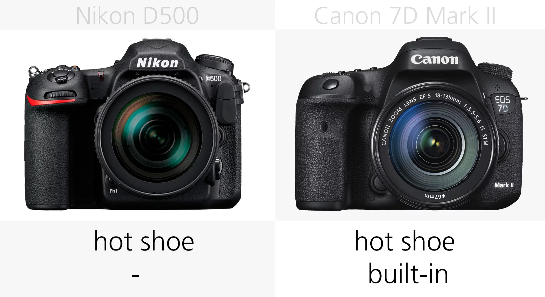 Flash comparison of the Nikon D500 and Canon 7D Mark II