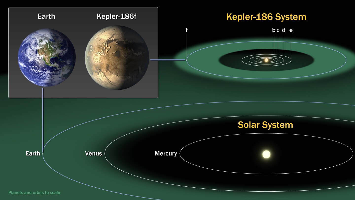 Kepler-186 compared to the inner Solar System (Image: NASA)