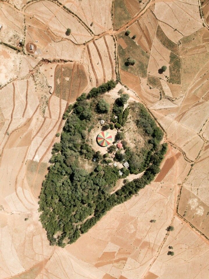 Ethiopia has lost 95 percent of its native forests due to human activity in the last century. What remains surrounds circular Tewahedo Orthodox churches; these ancient canopies are protected as a tenet of faith