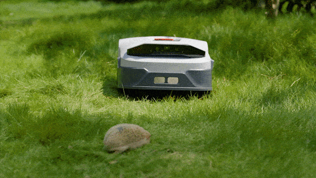 Your hedgehogs will be safe when the Genie is at work