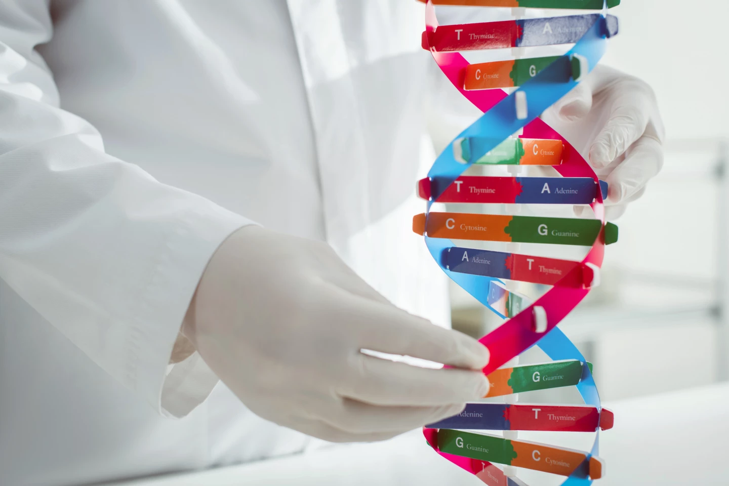 Genetic editing to knock out the important proteins led to smaller tumors and increased survival in mice