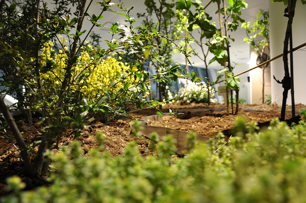 Italian Pavilion promoting the country’s rich landscapes