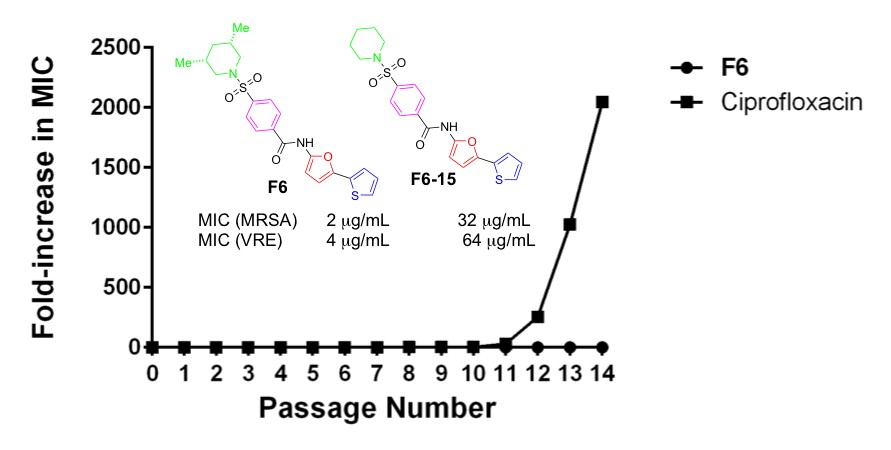 A graph showing the comparative effectiveness of F6 and an existing drug ciprofloxacin against antibiotic-resistant bacteria