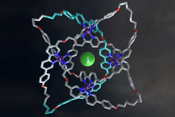 The X-ray crystal structure of a 192-atom-loop molecular 819 knot featuring iron ions (purple), oxygen atoms (red), nitrogen atoms (dark blue), carbon atoms (shown in metallic grey, with one of the building blocks shown in light blue) and a single chloride ion (green) at the center of the structure
