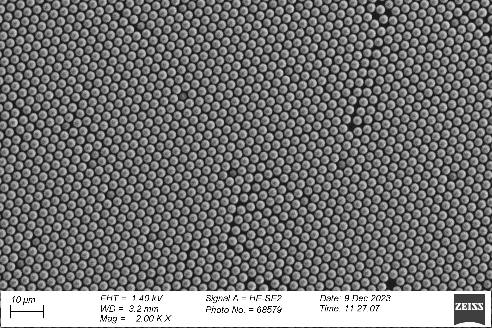 An electron microscope image of the beads developed for the new study