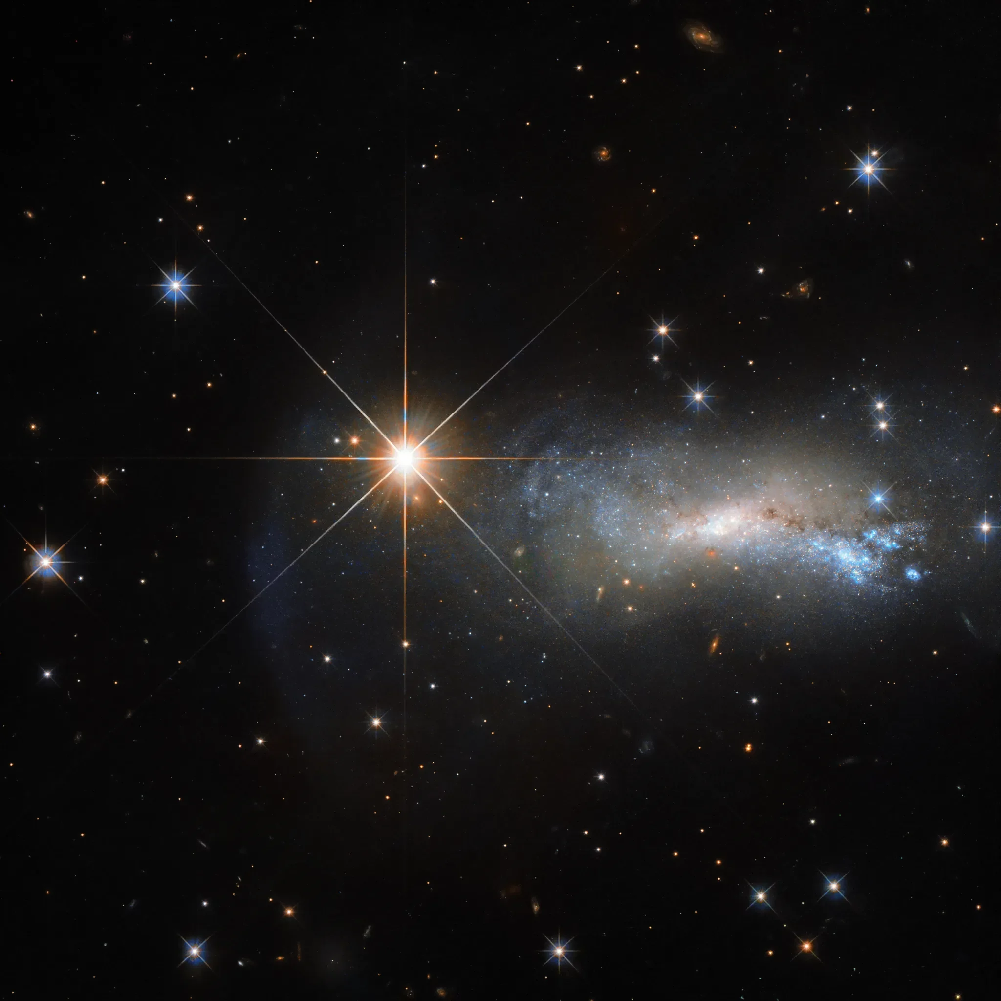 A new star is due to shine for a short time in the night sky this year