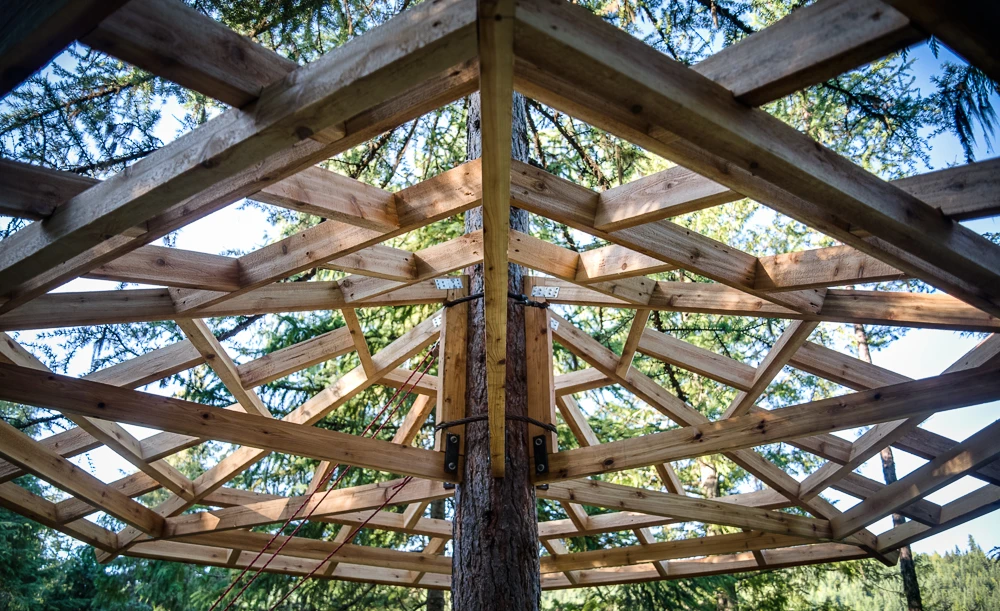 Making of the roof (Photo: Ethan Schlussler)
