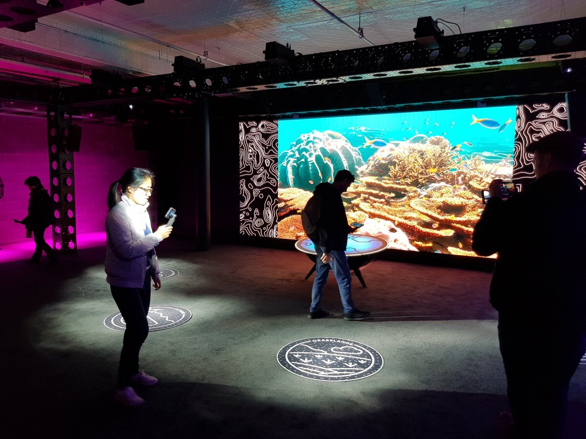 After observing the damage taking place, users of Phoria Rewild Our Planet installation can then play a role in helping the landscape recover