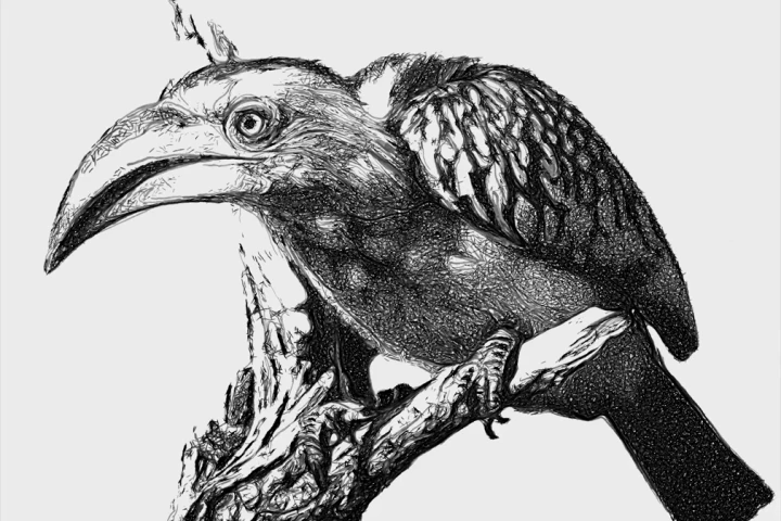 An incredibly detailed ink sketch of a bird by the robot artist eDavid