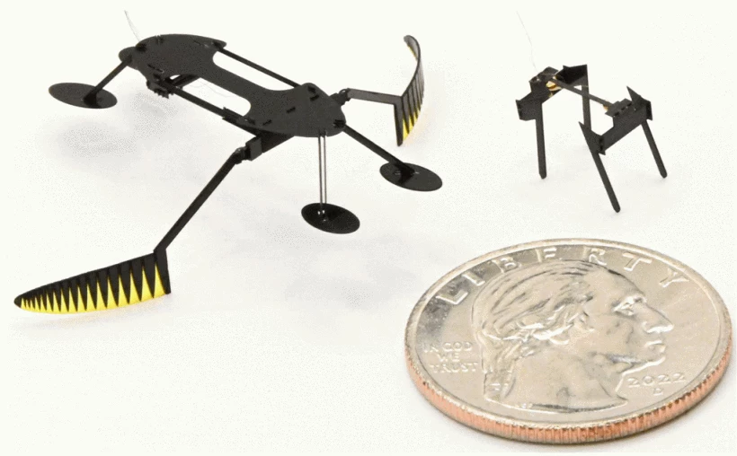 The WaterStrider and the MiniBug alongside a US quarter-dollar coin for scale