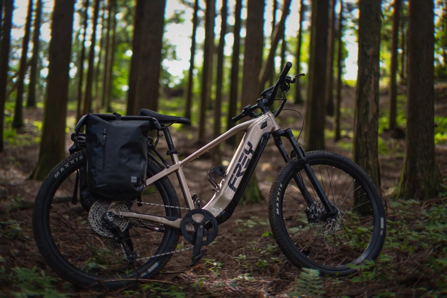 The Savannah Runner boasts up to 1,000 watts of rear-hub power plus a generous 1-kWh frame-integrated battery for between 100 and 200 km of pedal assist