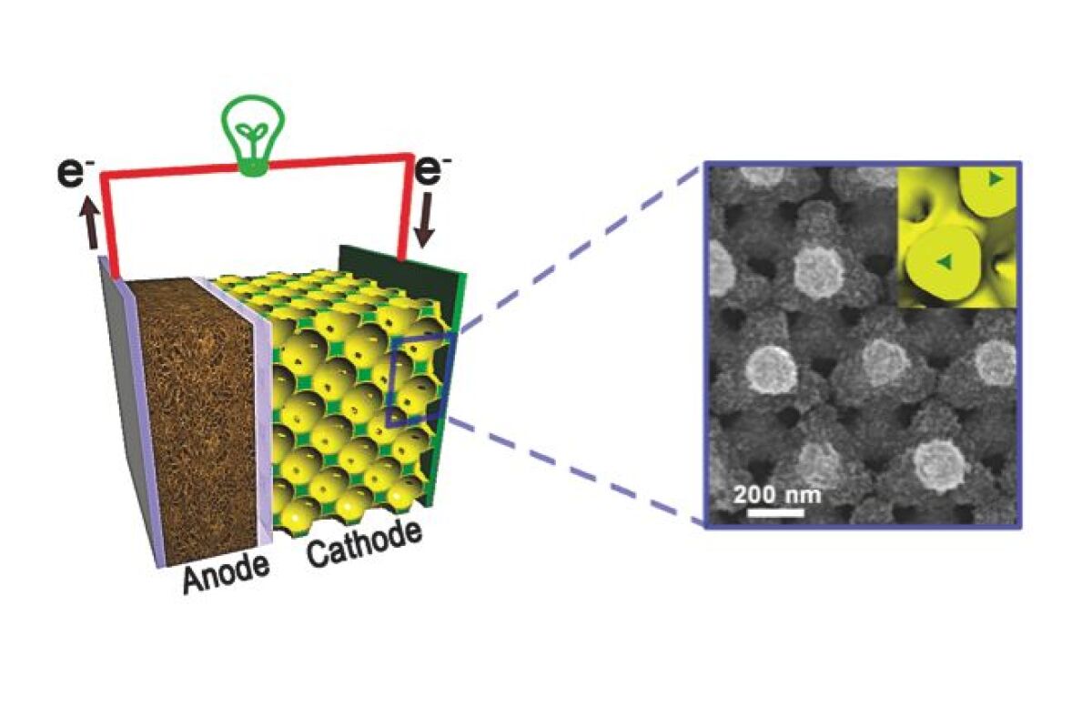 A diagram of a lithium-ion battery constructed using Braun's nanostructured bicontinuous cathode (left), and a scanning electron microscope image of the nanostructure (right) (Image: Paul Braun, University of Illinois)