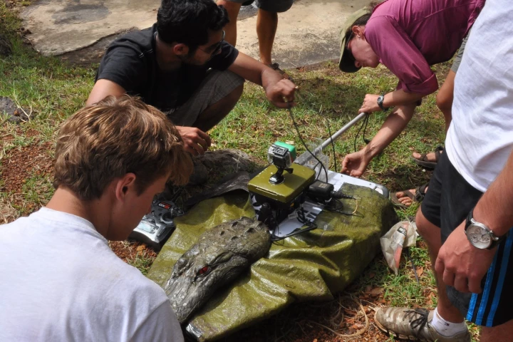 One of the three Lutra airboats used in the study