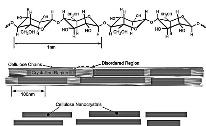 The upper figure shows the structure of the cellulose polymer; the middle figure shows a nanofibril containing both crystalline and amorphous cellulose; the lower figure shows the cellulose nanocrystals after the amorphous cellulose is removed by acid hydrolysis