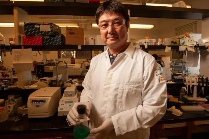 Professor Shota Atsumi, UC Davis Department of Chemistry, led a team that found a new way to coax microbes into making allulose, a potential substitute for table sugar