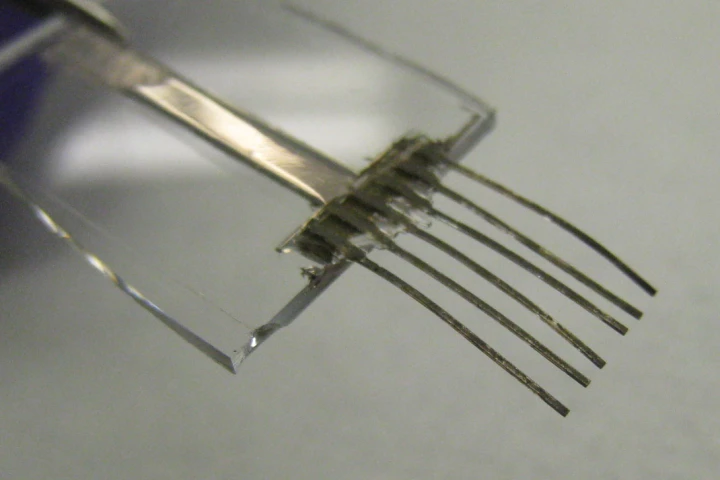 Scientists at Berkeley Lab and the University of California have created "e-whiskers" that mimic those of cats