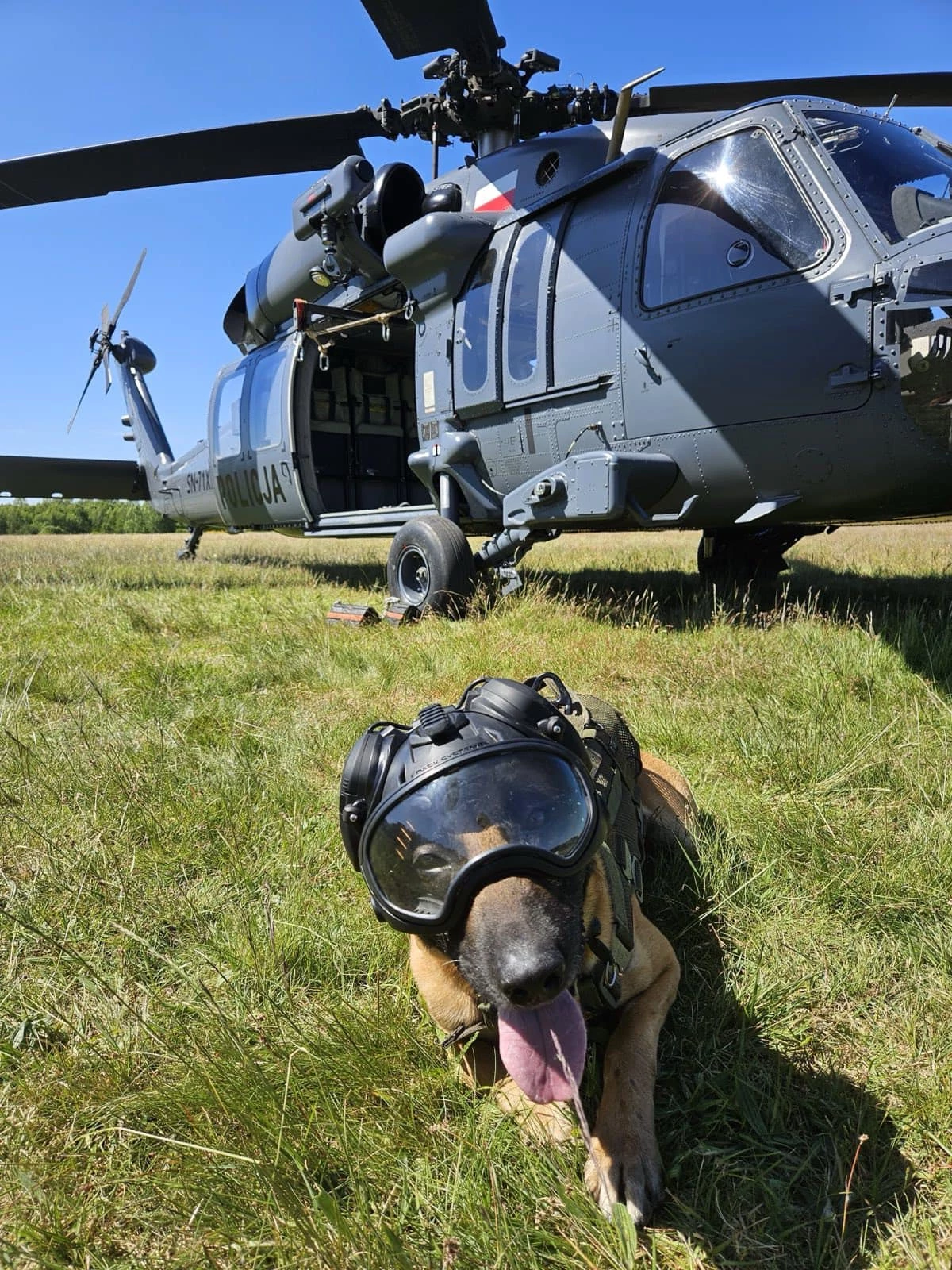 The GEN4 is designed for military and law enforcement dogs