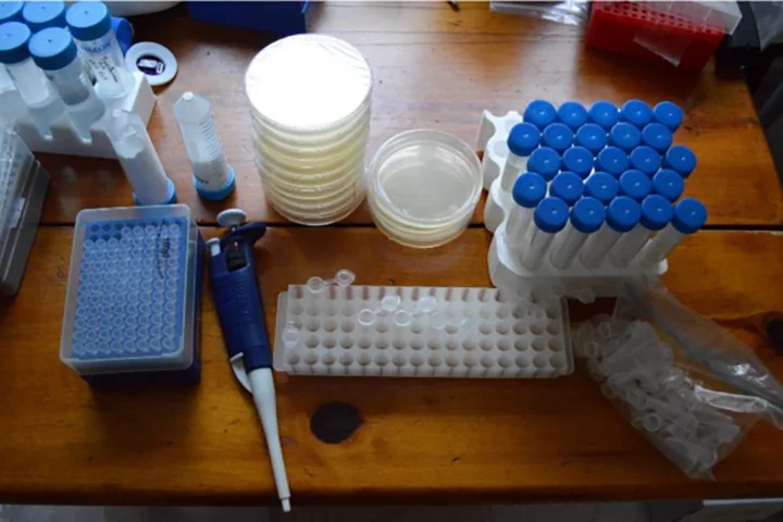 Do-it-yourself CRISPR genome editing kit for bacteria