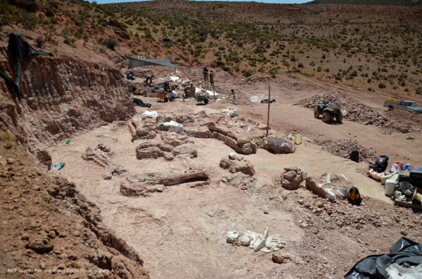 The Argentinian dig site was once a floodplain, and the bones were found in three different layers of rock