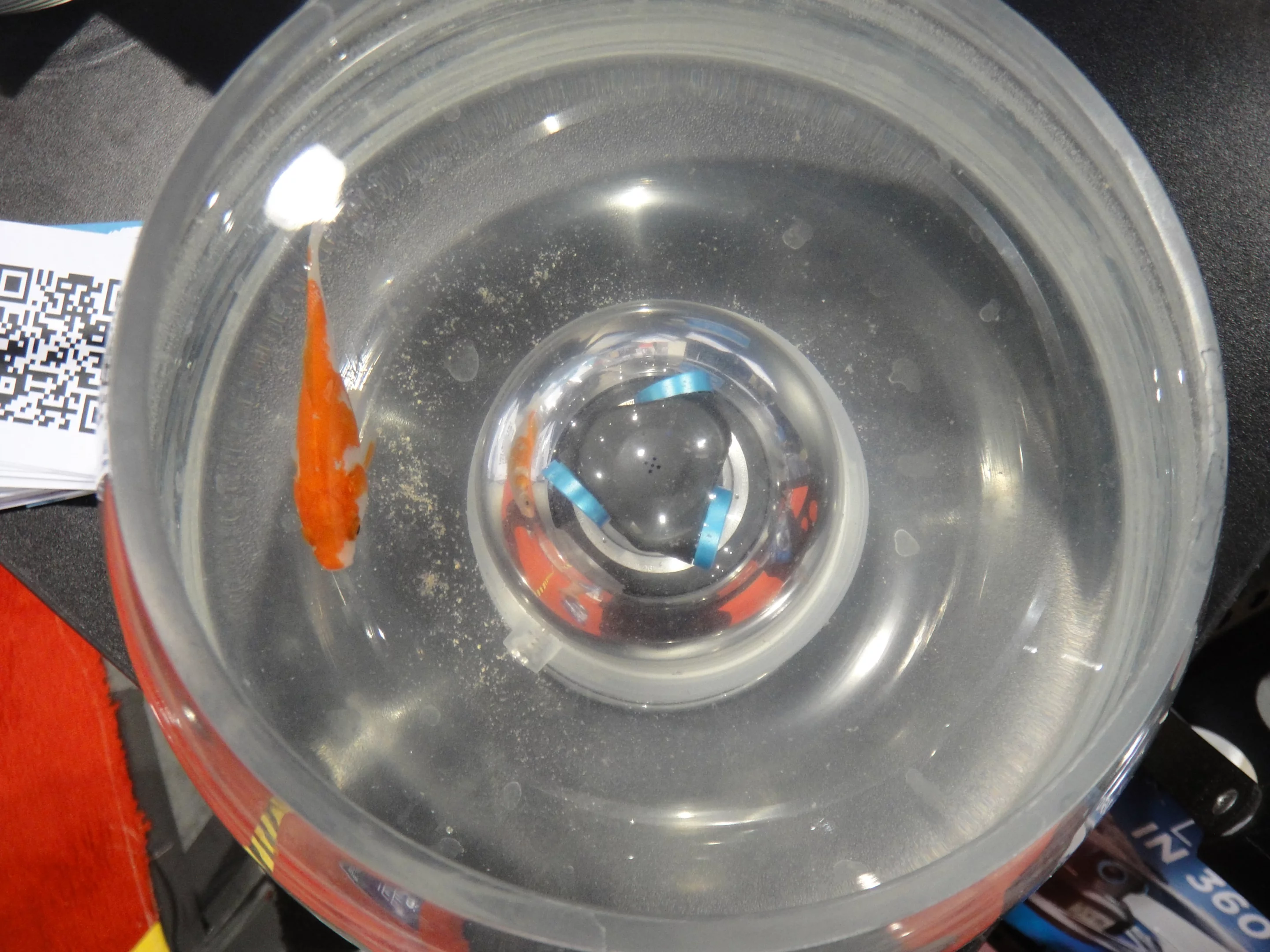 The camera is lightweight, shockproof, and comes with a waterproof housing