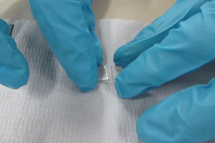 The bio-glass has self-healing properties, allowing two sections to firmly reattach after being pulled apart