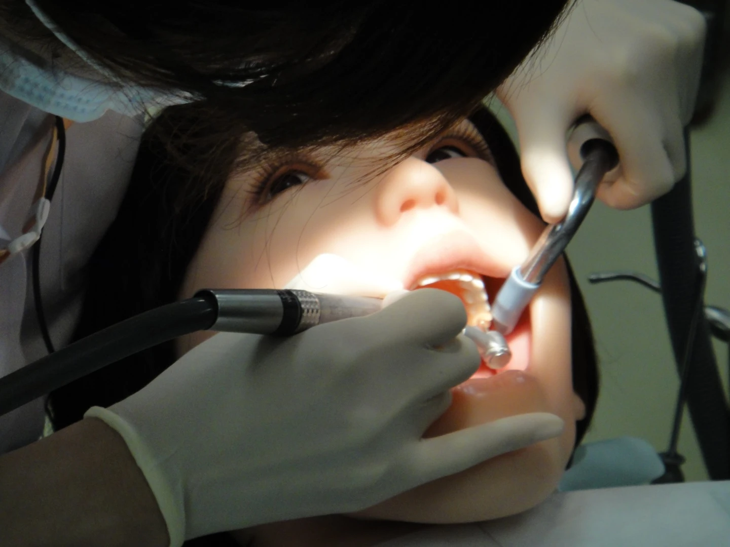 Showa University from Tokyo has presented a highly realistic robotic dental patient Showa Hanako 2 (Photo: DigInfo).