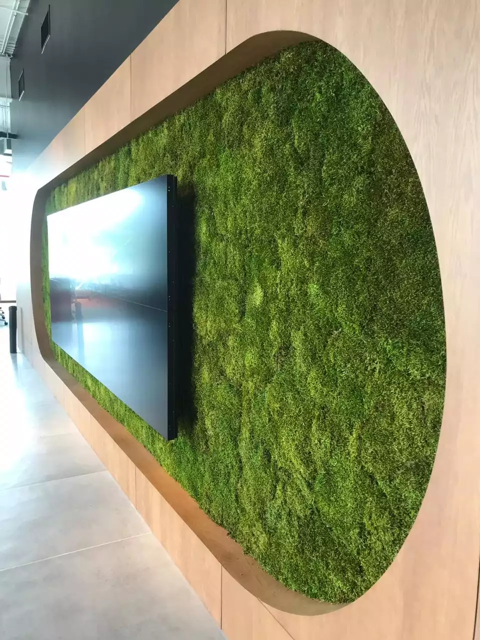 Benetti Moss has sound-absorbing properties, and is a natural fire-retardant