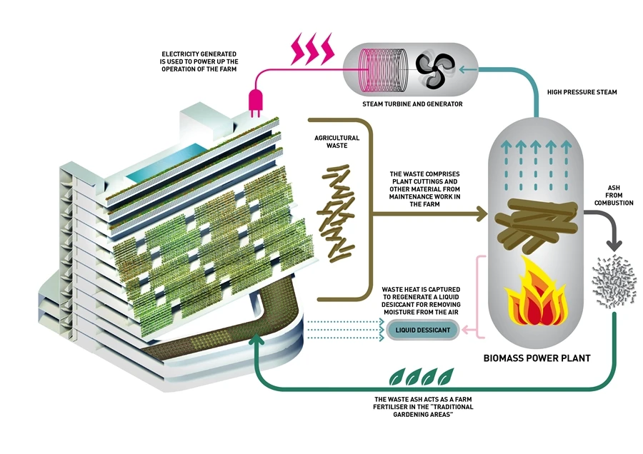 The Homefarm biomass plant (Image: Spark)