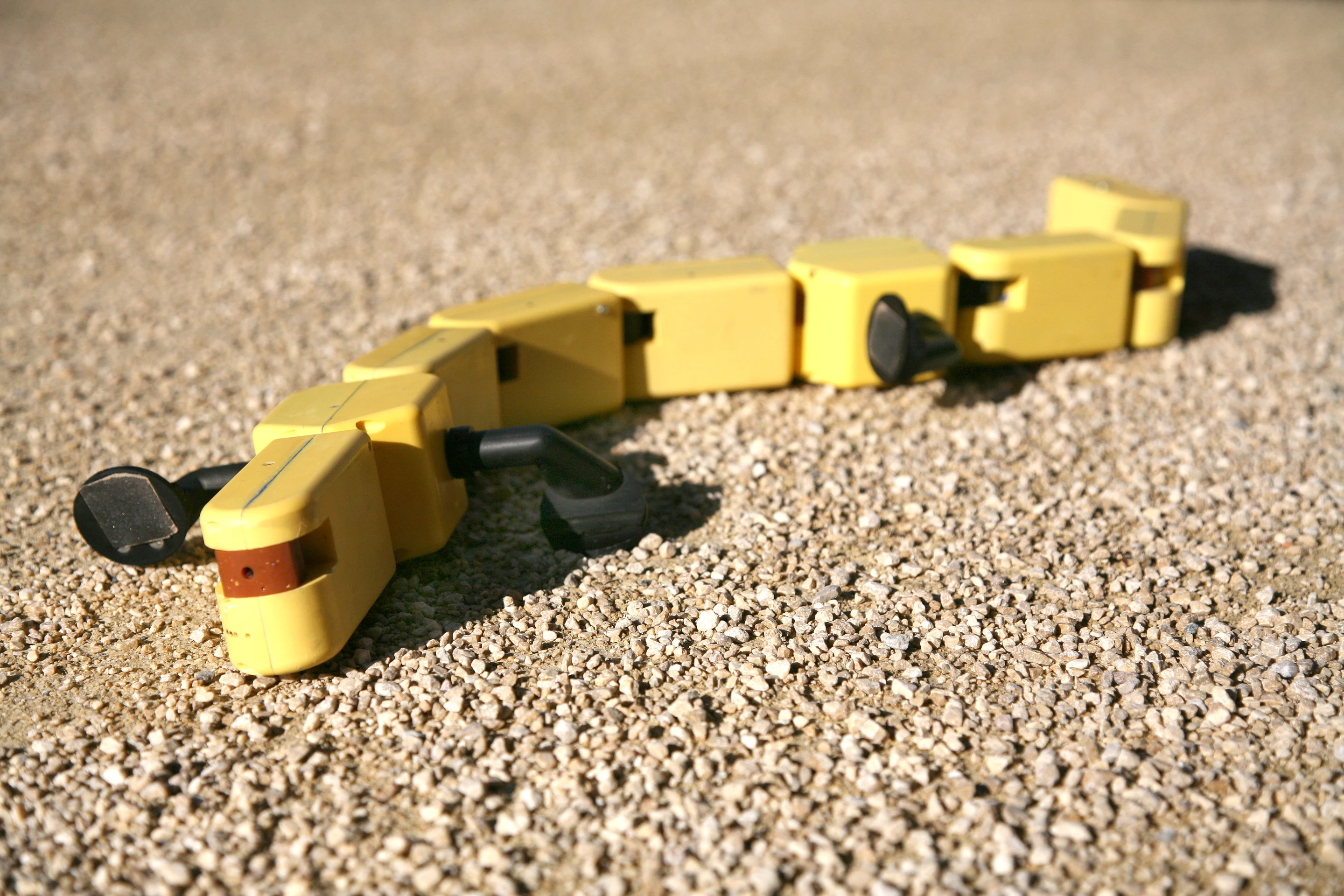 The group had to essentially build a mock-up of a salamander's vertebrae and limbs that could alter its stance depending on whether it was traversing in water or not (Photo Credit: A. Herzog, Biorobotics Laboratory, EPFL)