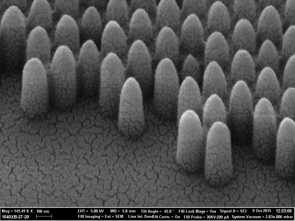 A scanning electron miscroscope photograph shows the pyramid-like nanostructures engraved onto the glass of the smart window
